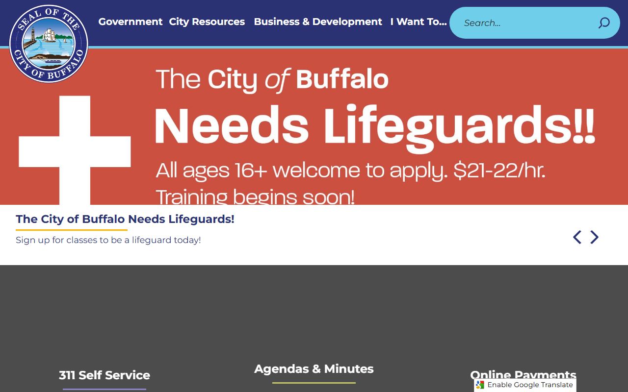 City of Buffalo website booking reports